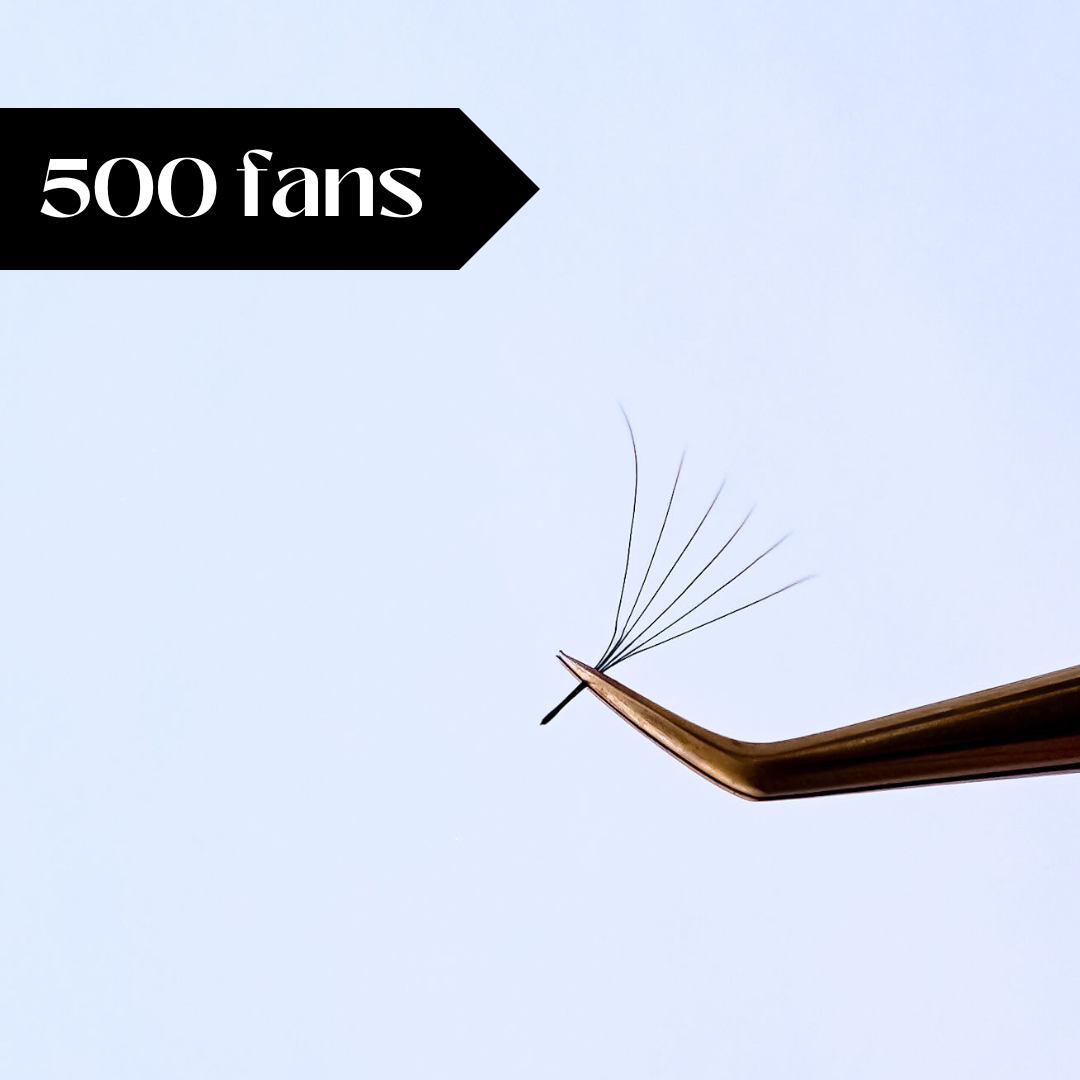 5D gatavie pušķīši (500 gb.) WIDE