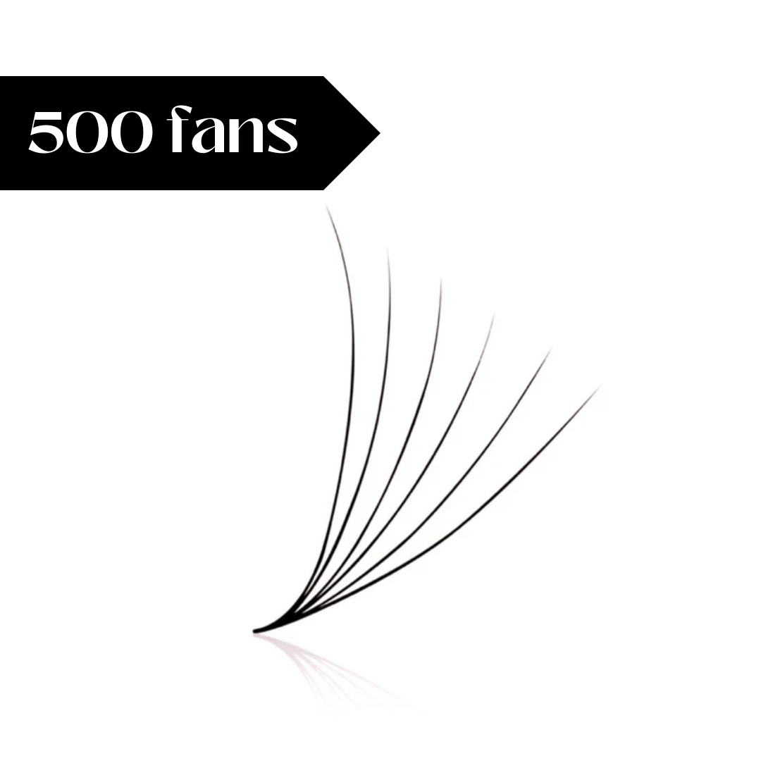 6D gatavie pušķīši (500 gb.)