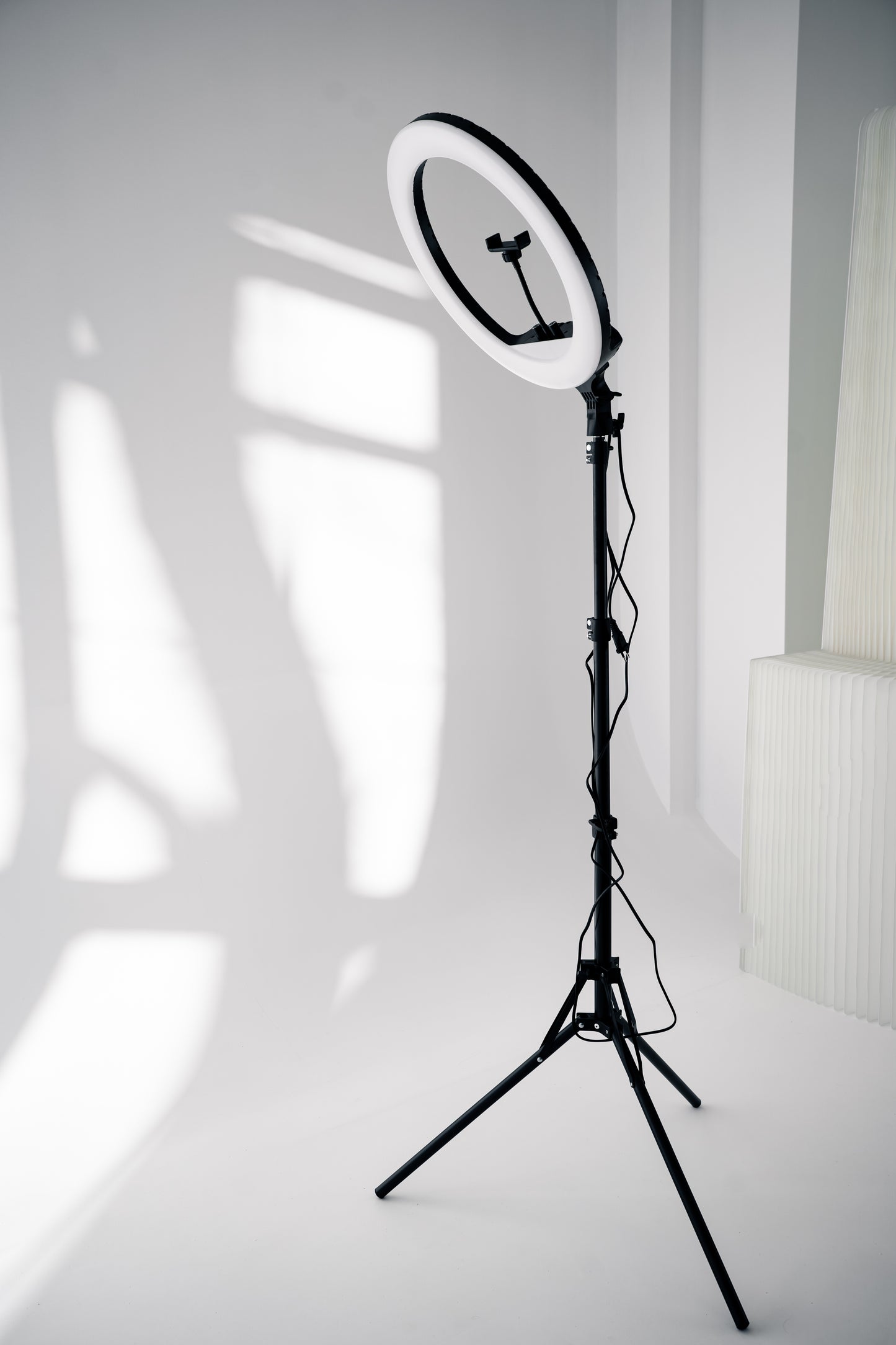 Ring lampa